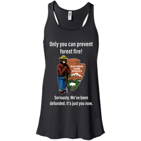 Smokey Bear: Only You Can Prevent Forest Fire Shirt, Hoodie, Tank - TeesGrab