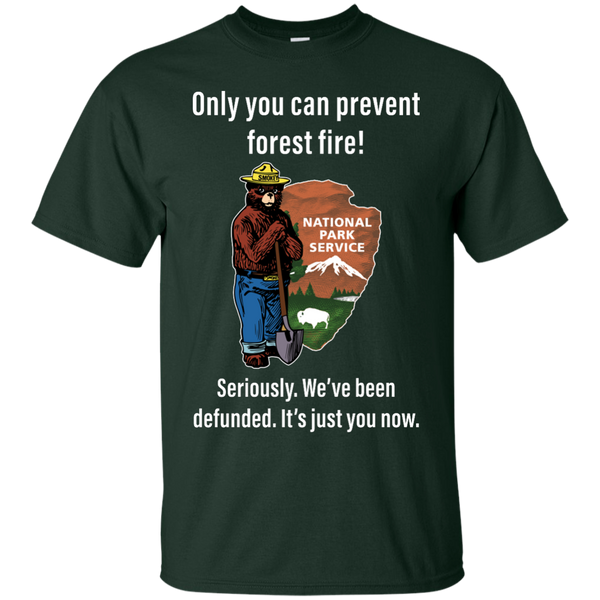 Smokey Bear: Only You Can Prevent Forest Fire Shirt, Hoodie, Tank - TeesGrab