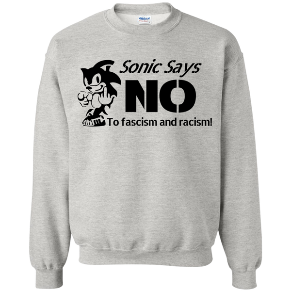 Sonic Says NO to Fascism and Racism T-Shirt, Hoodie, Tank - TeesGrab