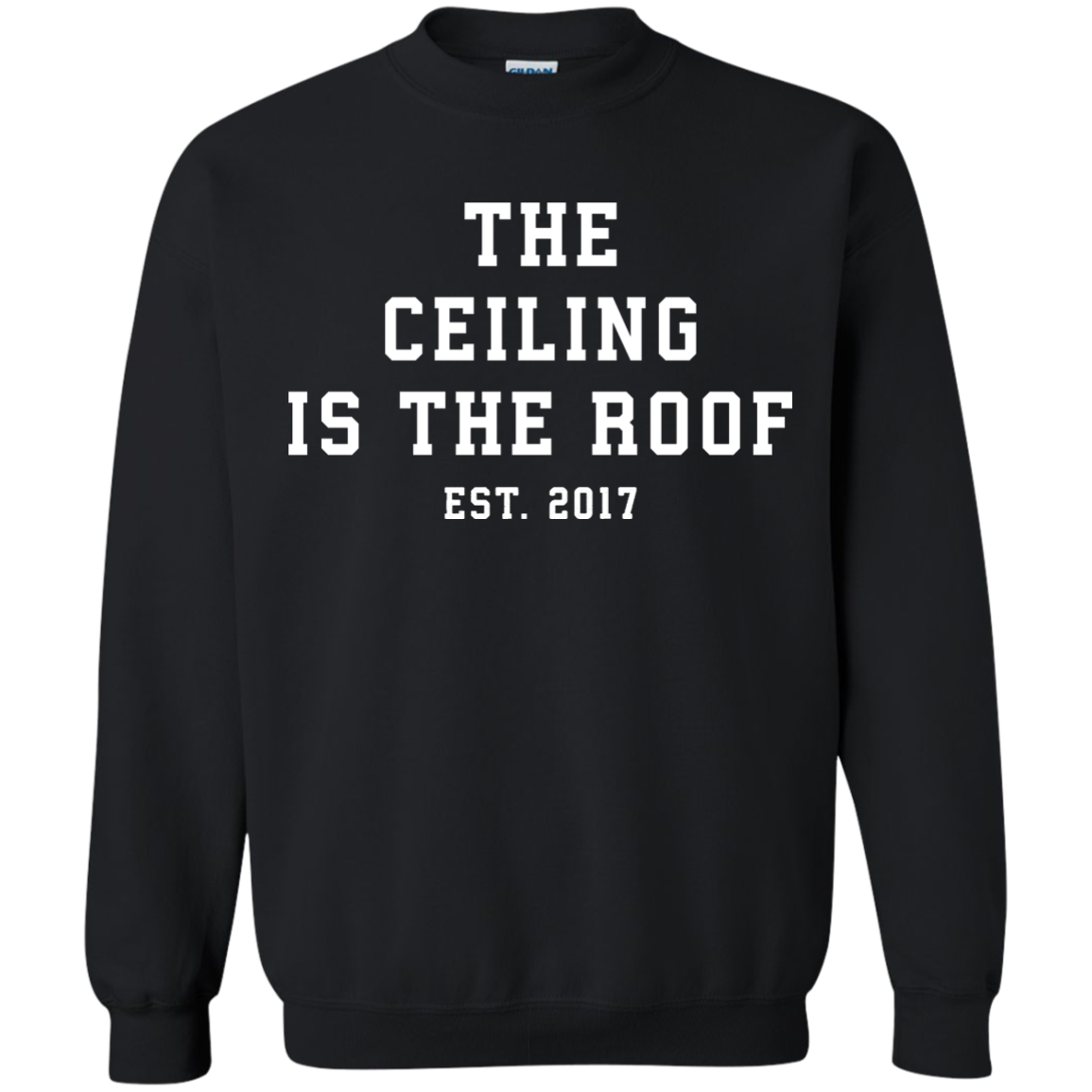 The Ceiling Is Roof Michael Jordan
