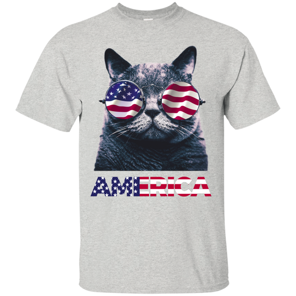 Independence Day America Cat Ameowica Shirt, Hooide, Tank - TeesGrab