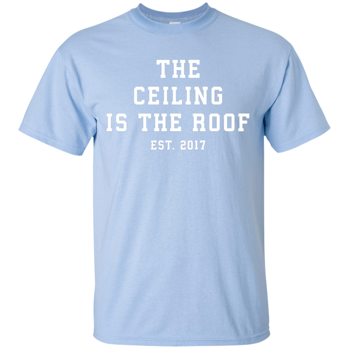 Ceiling roof champion jordan best sale shirt