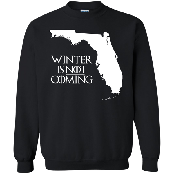 Game of Thrones: Winter Is Not Coming Florida T-shirt, Hoodie, Tank - TeesGrab
