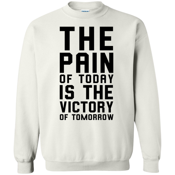 The Pain of Today is the Victory of Tomorrow T-Shirt, Hoodie, Tank - TeesGrab