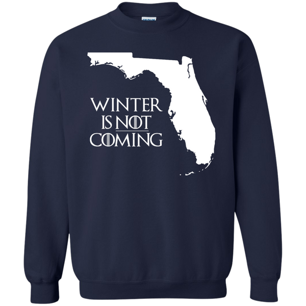 Game of Thrones: Winter Is Not Coming Florida T-shirt, Hoodie, Tank - TeesGrab
