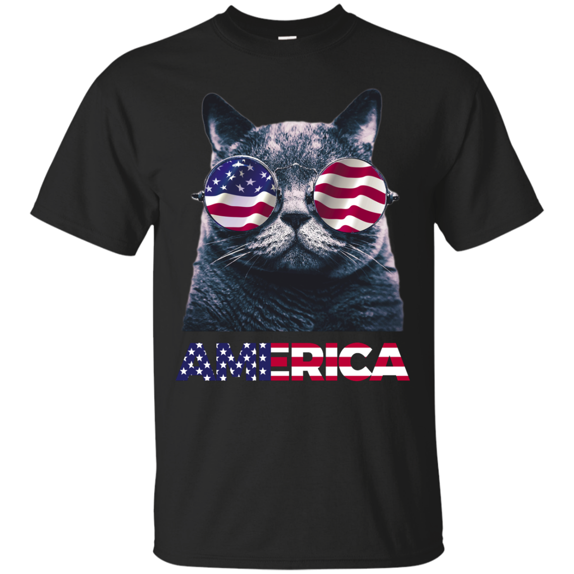 Independence Day America Cat Ameowica Shirt, Hooide, Tank - TeesGrab